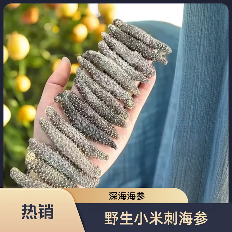 纯淡干深海小米刺海参120-130头