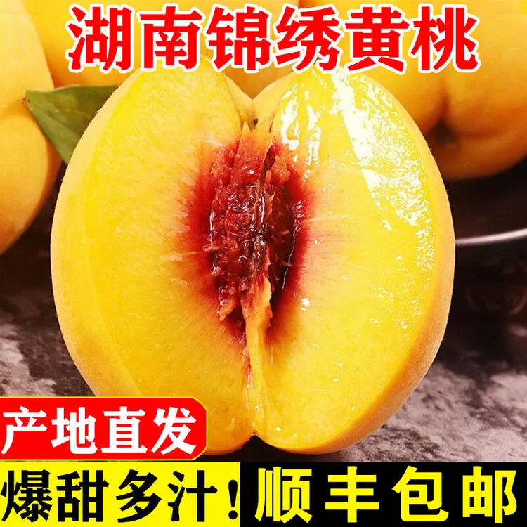 【顺丰包邮】现摘现发爆甜多汁湖南锦绣黄桃