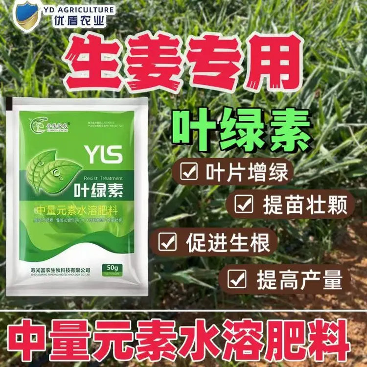 叶绿素叶面肥速绿园艺通用肥壮根爆根壮苗