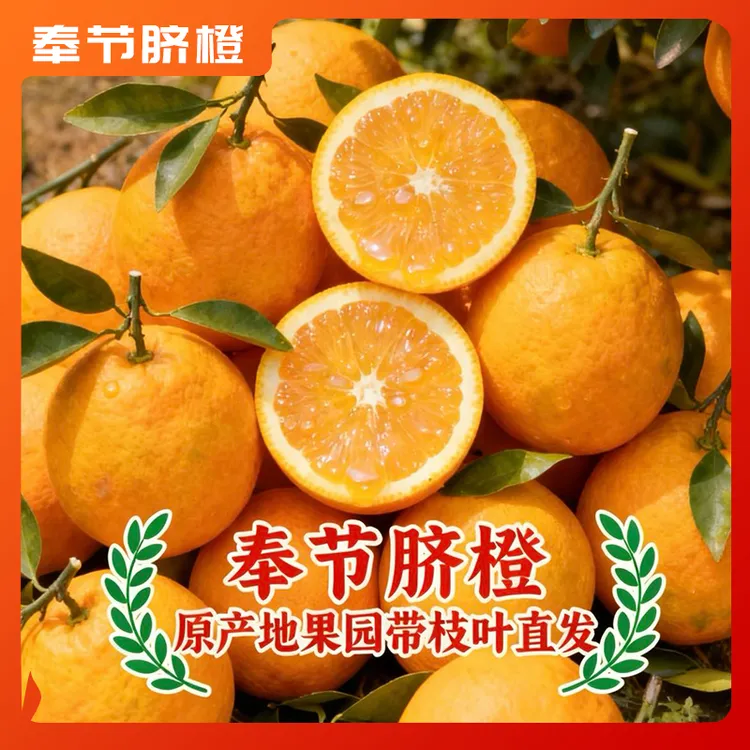 【专属B｜带叶发】正宗重庆奉节脐橙橙子应季水果5斤10斤产地直发
