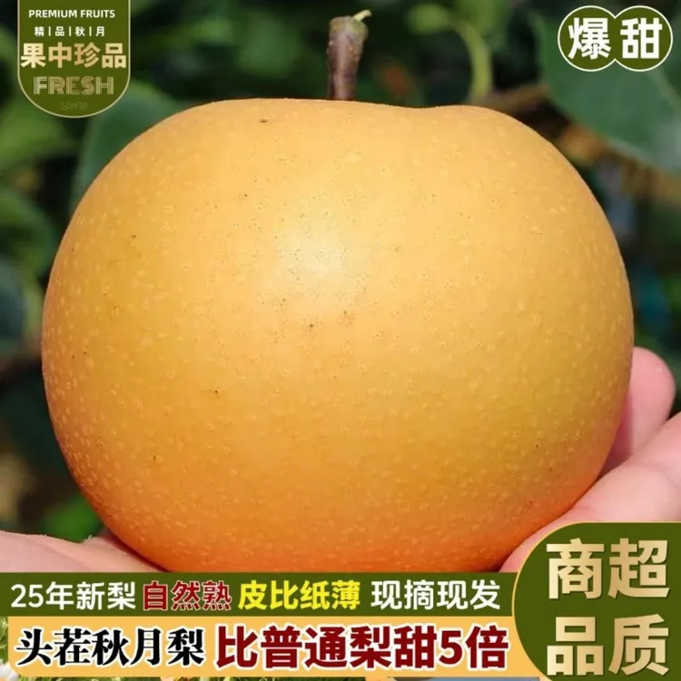 【10斤特大果】正宗秋月梨羊脂冰糖蜜多汁梨新鲜水果整箱5/9斤Q
