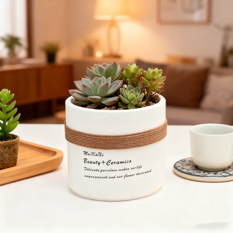 简约创意室内有孔圆形网红陶瓷花盆绿萝多肉植物玫瑰花花盆