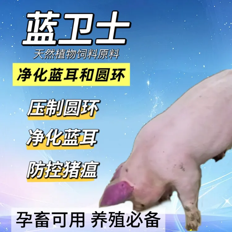 蓝卫士净化猪蓝耳圆环咳喘食欲不振