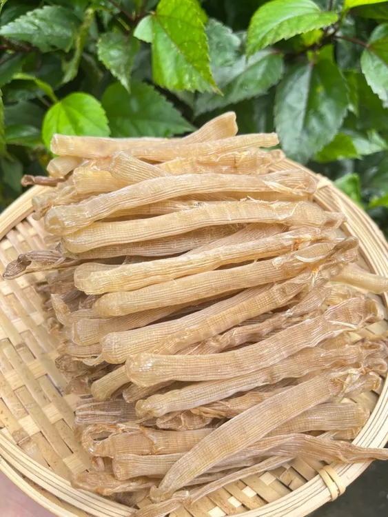 新晒沙虫干渔民自晒沙虫干滋补食材适合送礼