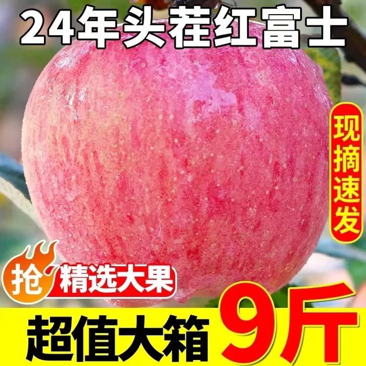 山西运城万荣红富士苹果现摘现发新鲜水果皮薄甜脆5斤9斤包邮