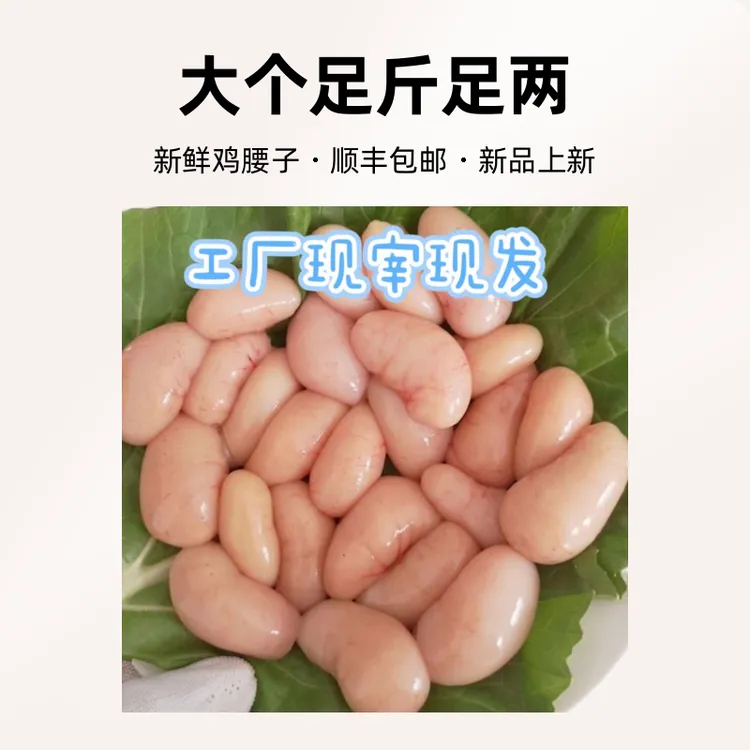 新鲜营养鸡腰子大个足斤足两顺丰包邮
