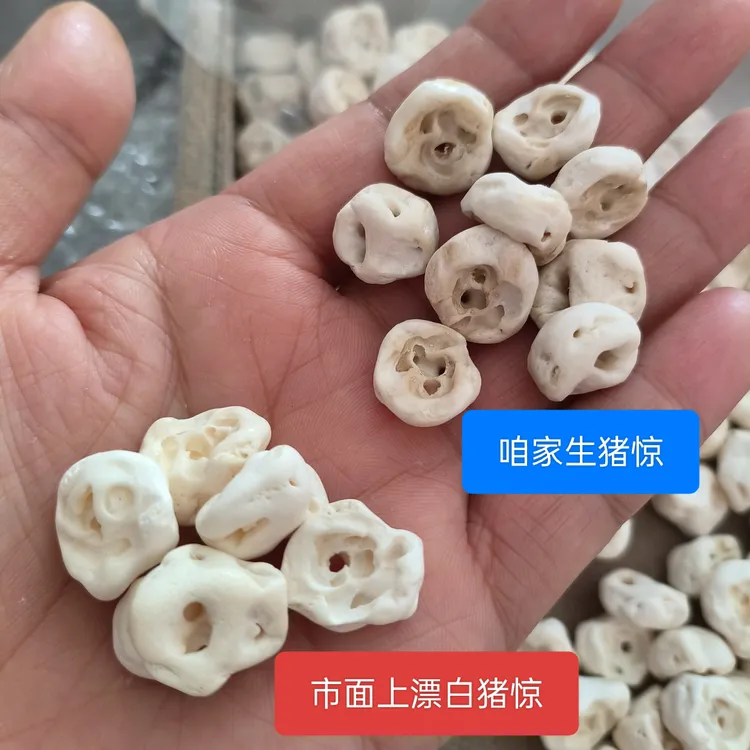 天然原生态新鲜生猪惊骨手工编绳diy原料婴儿防吓