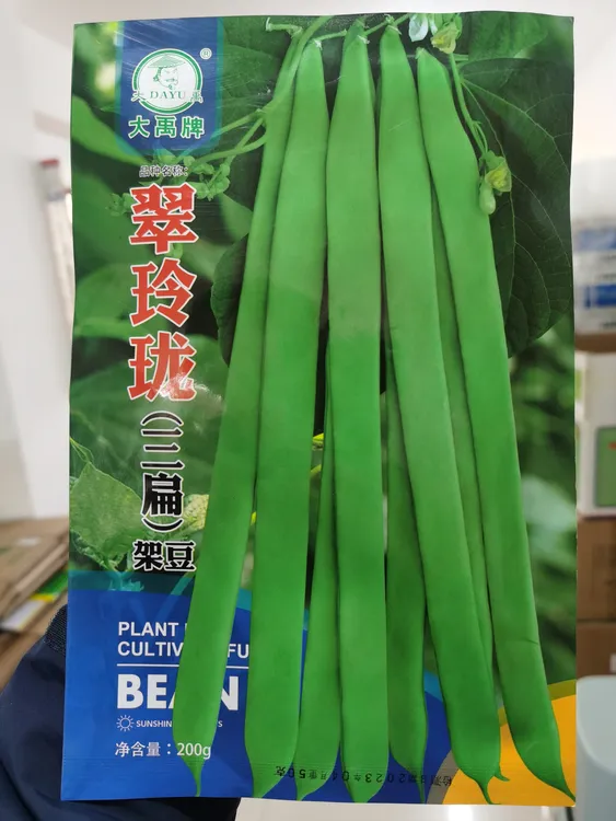 翠玲珑三扁架豆种子