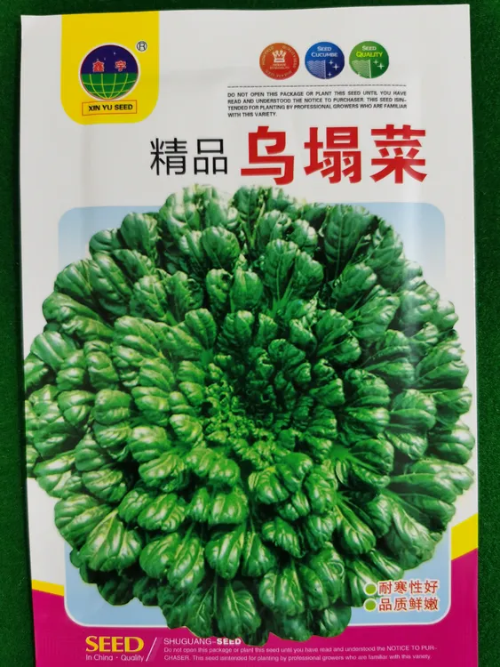 清脆爽口耐寒乌塌菜（拍一发二）