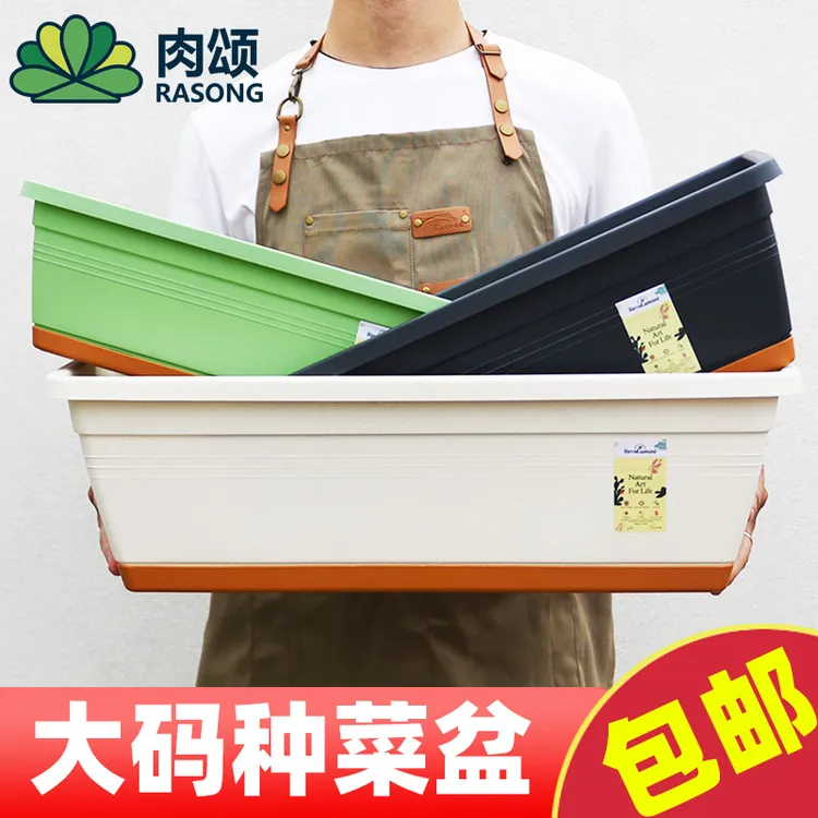 中号种菜盆种菜神器家庭中号蔬菜长方形塑料长条花盆槽盆栽种植盆