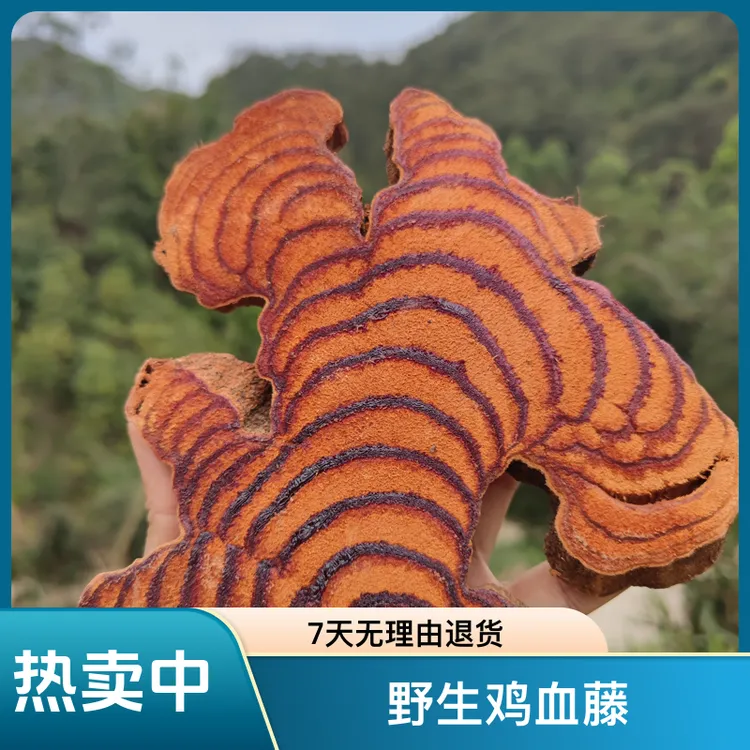 广西深山野生鸡血藤来自肉桂之乡天然圈多自然晒干片500g包邮煮水