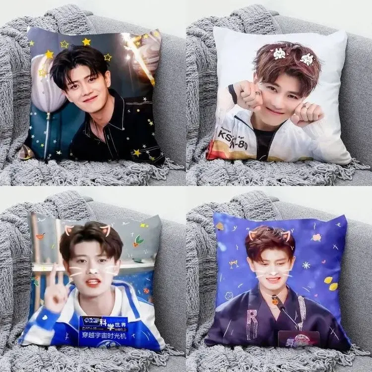 任嘉伦抱枕明星周边定制枕头粉丝海报创意沙发卧室靠枕学生日礼物