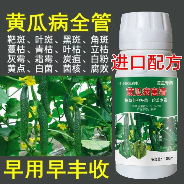 黄瓜专用药黄瓜病全治靶斑病灰霉病角斑病斑点病霜霉病黄瓜杀菌剂