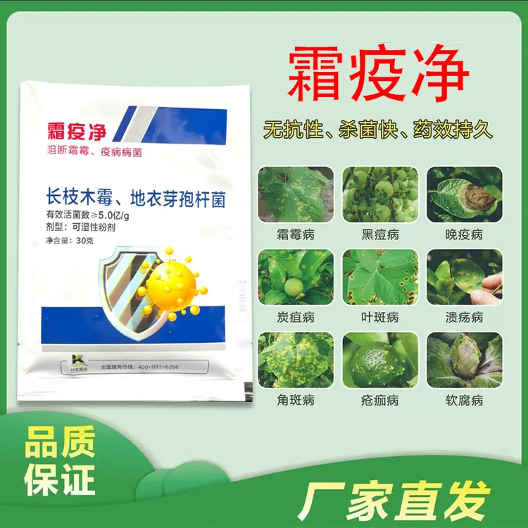 霜疫净微生物菌剂霜霉专用早晚疫黄瓜番茄辣椒无抗性有效预防治疗