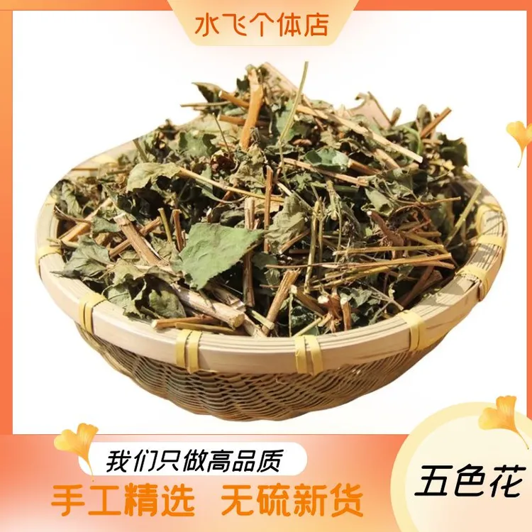 五色花250g-500g五色梅如意草五彩花五色绣球变色草马缨丹非甘草