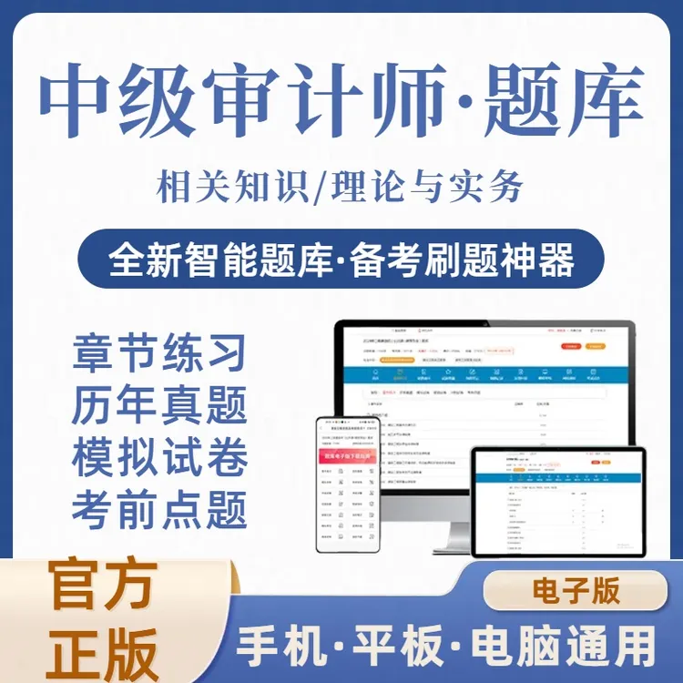 2025年中级审计师在线刷题库（电子版）