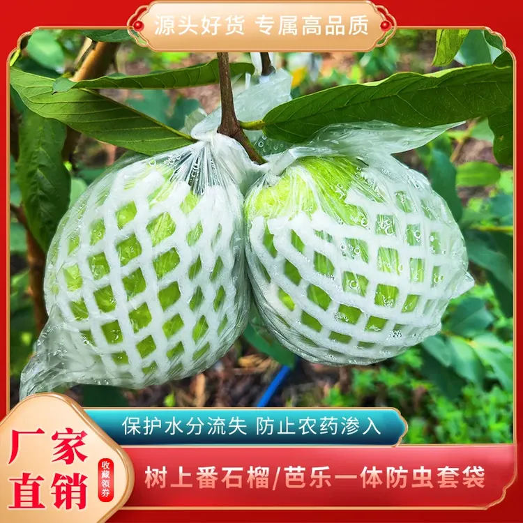 番石榴水果芭乐网套一体袋包防虫套袋番石榴保护袋芭乐透气薄膜袋