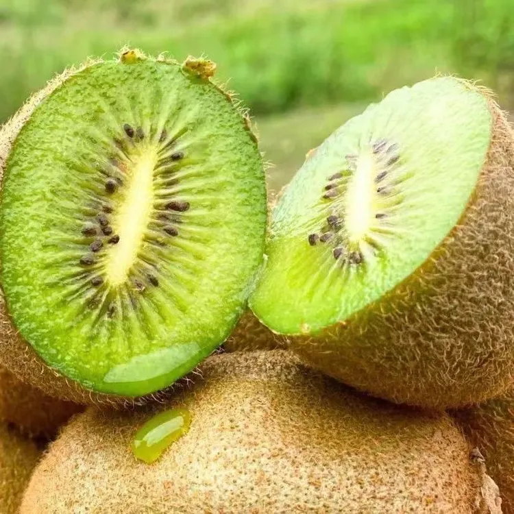 野生猕猴桃（大自然的馈赠）水果发货后不支持退货，谢谢理解