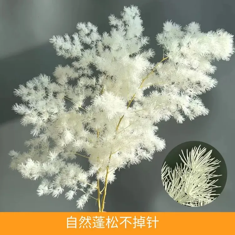 永生花蓬莱松真花干花用于婚庆雾凇装饰美观又实用