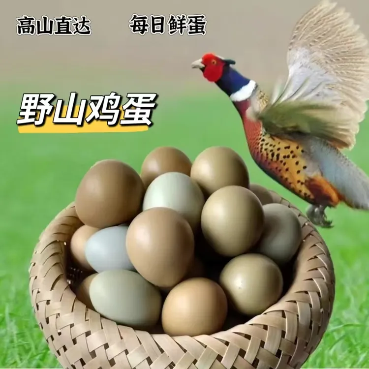 当日鲜蛋宝宝辅食杂粮散养山鸡蛋七彩蛋野外孕妈妈蛋