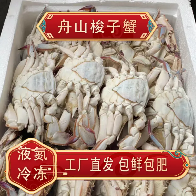 舟山顶壳肥母蟹液氮速冻梭子蟹肉蟹冷冻发货3-4两/只