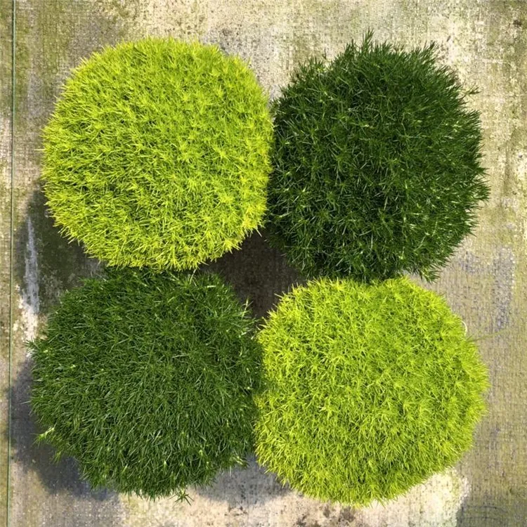 爱尔兰珍珠草水草盆栽苗苔藓黄金海岸常绿地被植物庭院护盆草