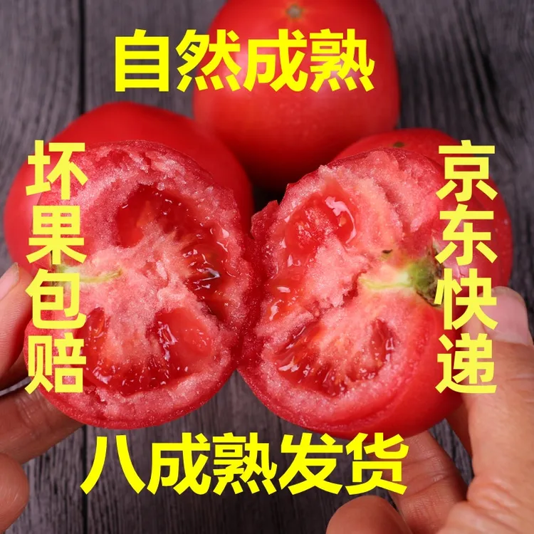 【京东】山东水果西红柿老品种多汁爽口洋柿子4.5-9.5斤坏果包赔