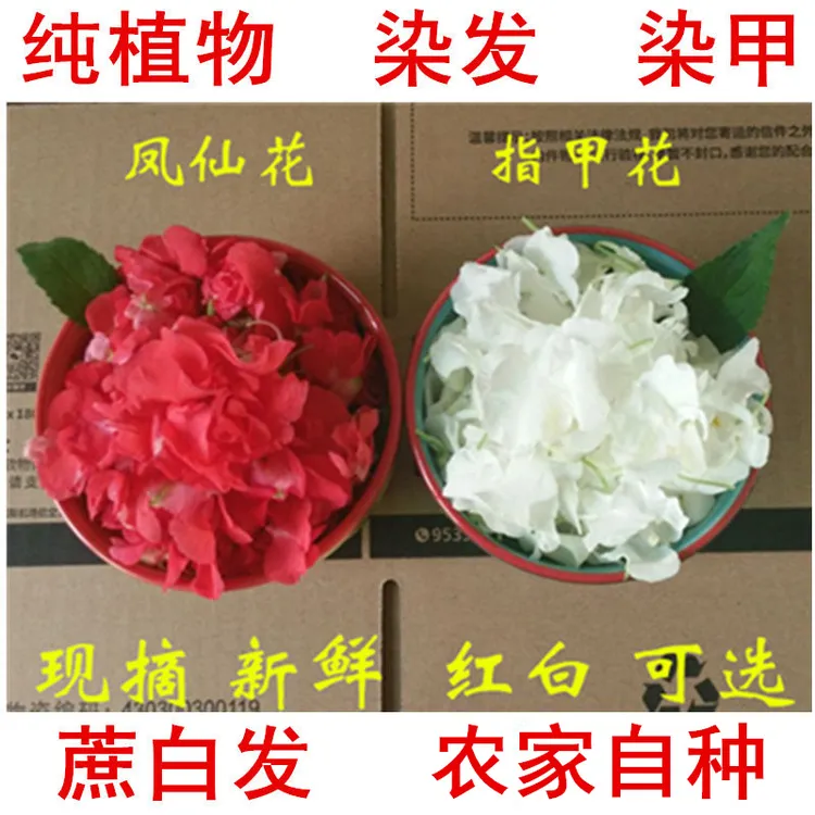 新鲜染指甲花红白凤仙花桃红指甲草花纯凤仙花粉染蔗白发桃红花