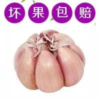 【新店冲量】新干蒜5斤大蒜大蒜头新鲜紫白皮50克5斤产地直发自种