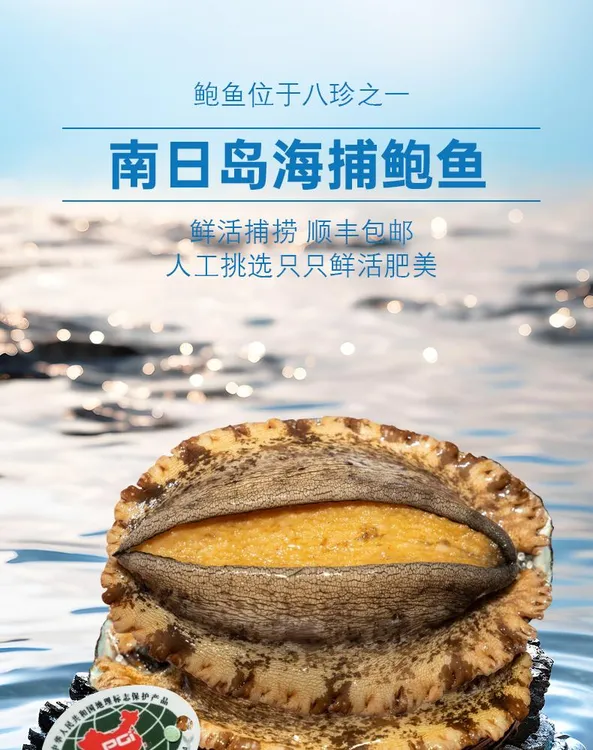 199团购套餐(黄金大鲍鱼)