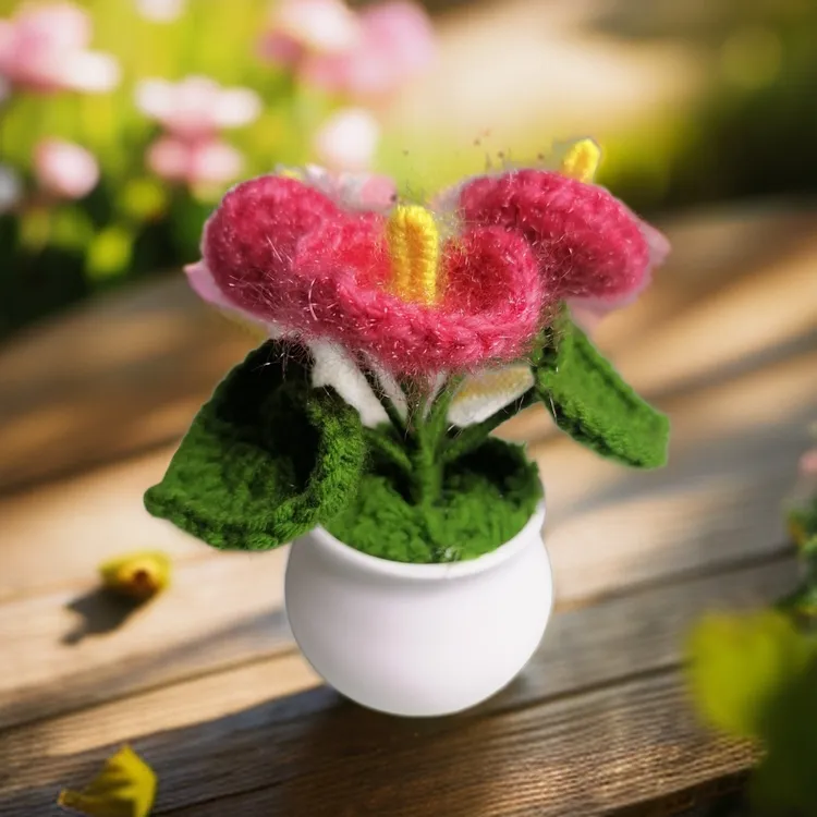 红掌手工编织盆栽成品小摆件迷你针织盆栽车载装饰礼物