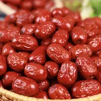 新疆肉厚核小灰枣大枣