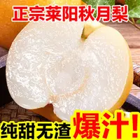 5斤正宗莱阳秋月梨山东秋月梨中秋礼盒脆甜多汁