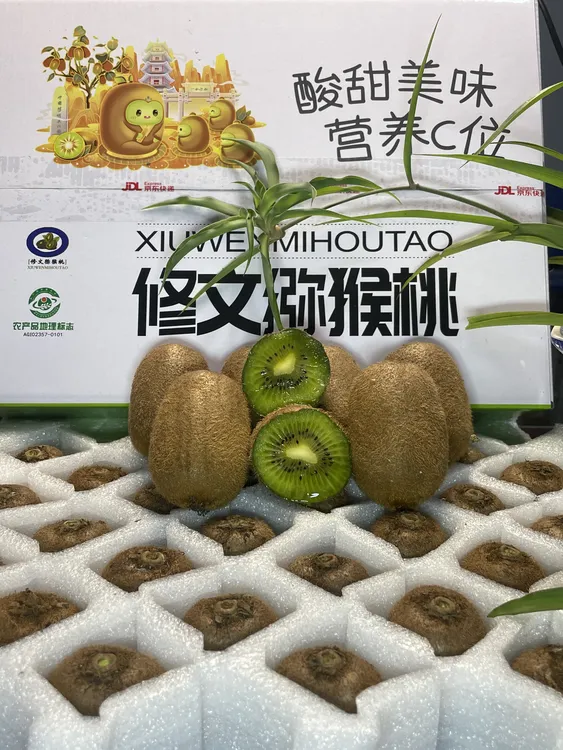 修文贵长猕猴桃新鲜当季绿心奇异果小猕猴桃水果香甜软糯28枚