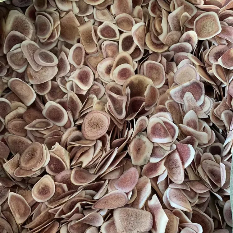 不染色1鹿角片230自家养殖鹿茸切片煲汤泡酒泡水恩妮家西洋参片