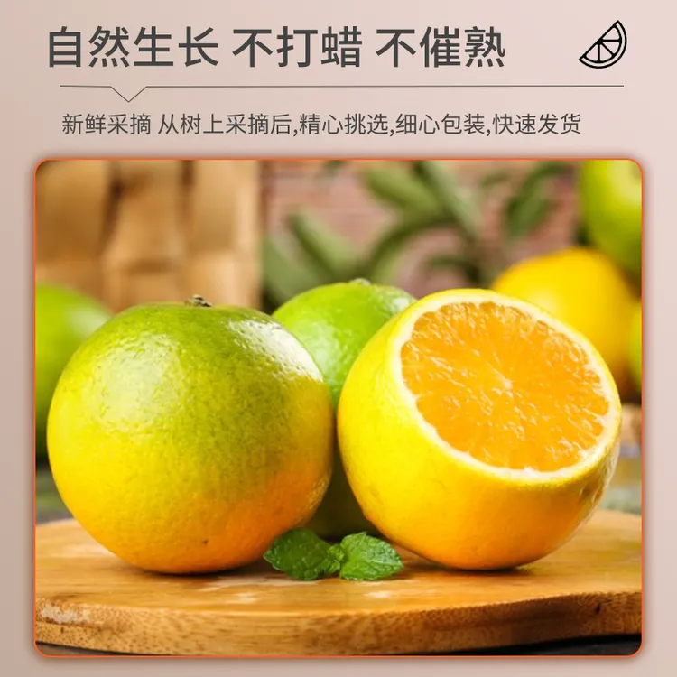 广西桂林高山夏橙新鲜5斤9斤应季现摘香甜可口天然酸甜细腻
