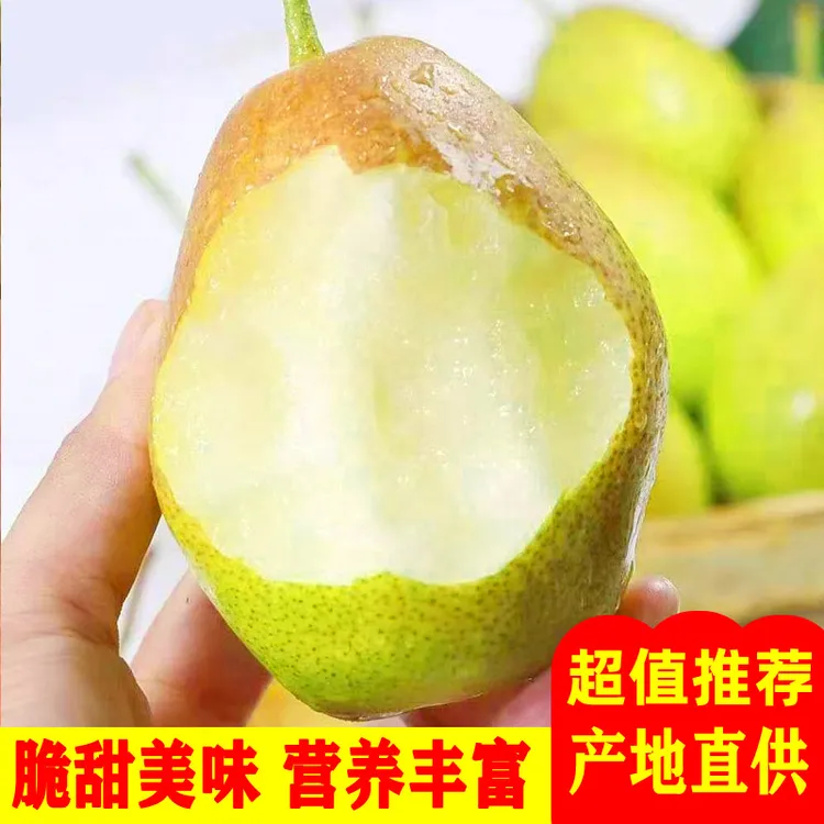 【果园现摘】山西红香酥梨现摘应季水果脆甜薄皮多汁小香梨子秋月梨