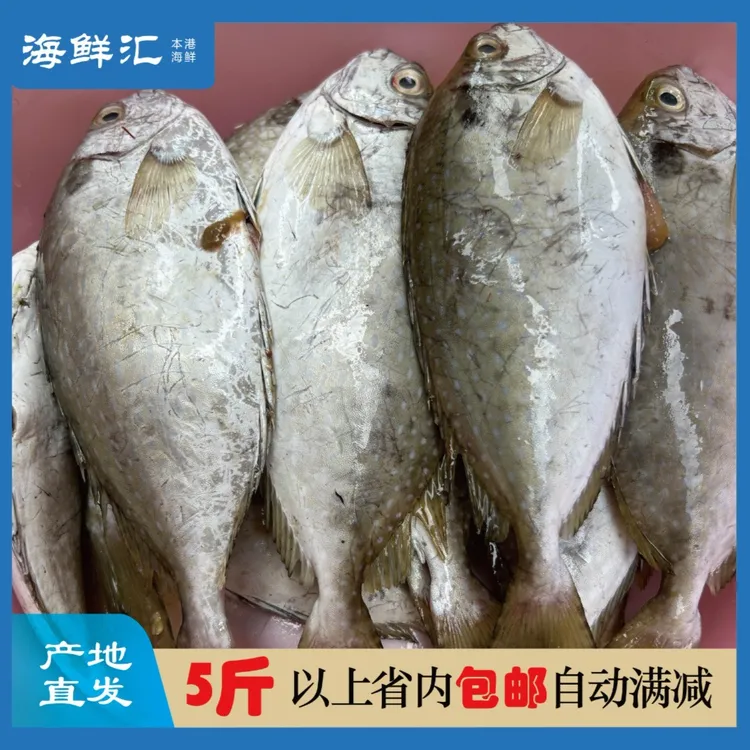 5斤泥猛鱼/照灯黄提-惠来本港野生海鲜-洗杀好400g-新鲜速冻