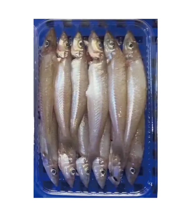 沙尖鱼5斤/沙钻鱼/沙丁鱼本港野生海捕海鲜 洗杀好400g