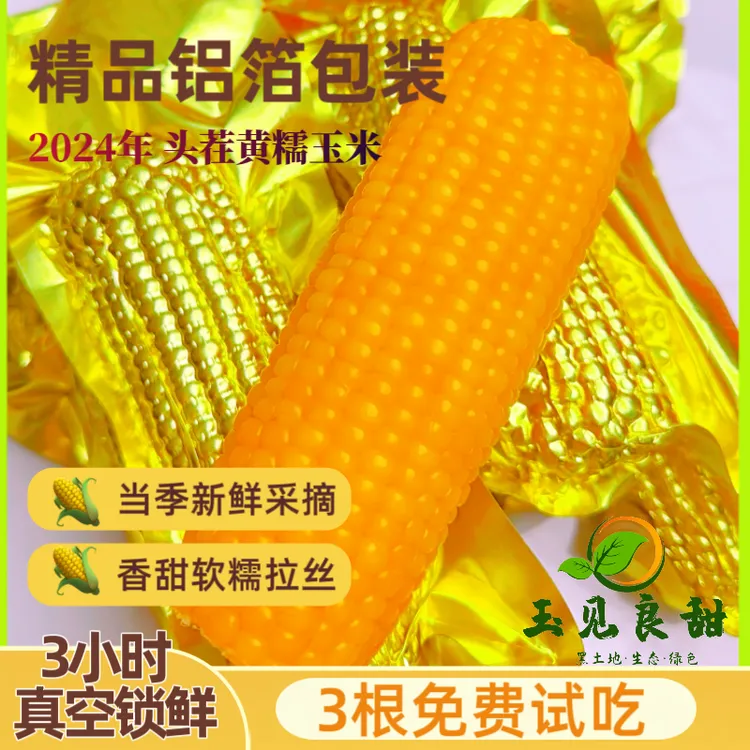 【试吃3根】东北黄糯玉米铝箔包装 5-6斤/箱共10根软糯香甜