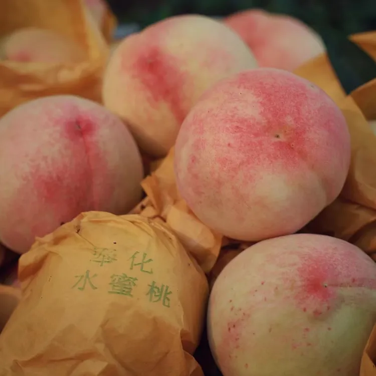 【赵姐助农超实惠12个装顺丰快递箱】奉化正宗水蜜桃良方 现摘现发 