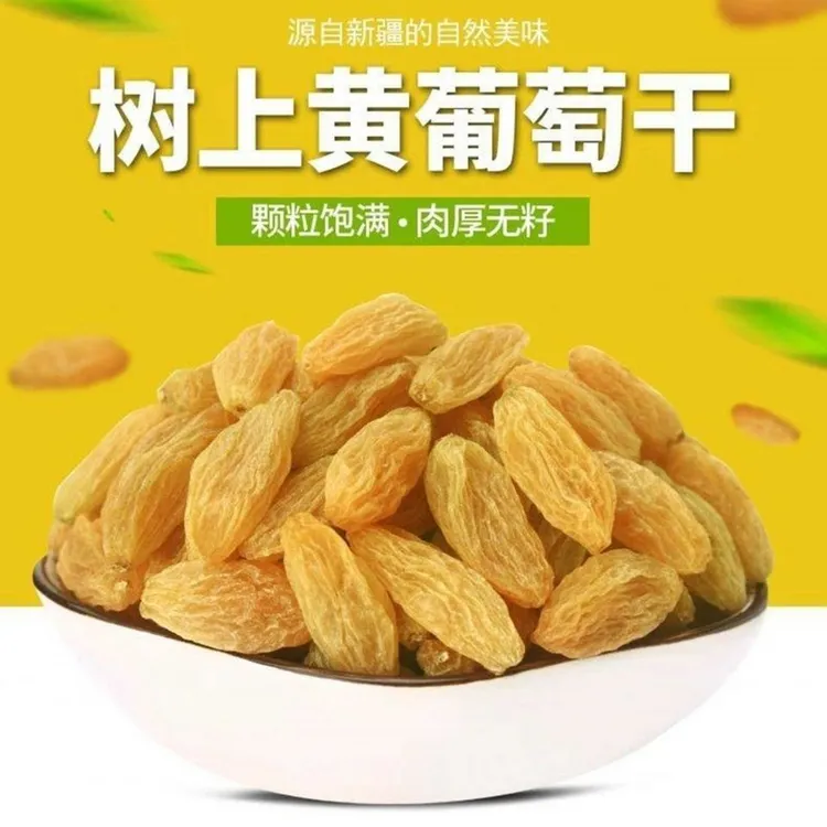 新疆吐鲁番的葡萄干树上黄色大颗粒无核葡萄干