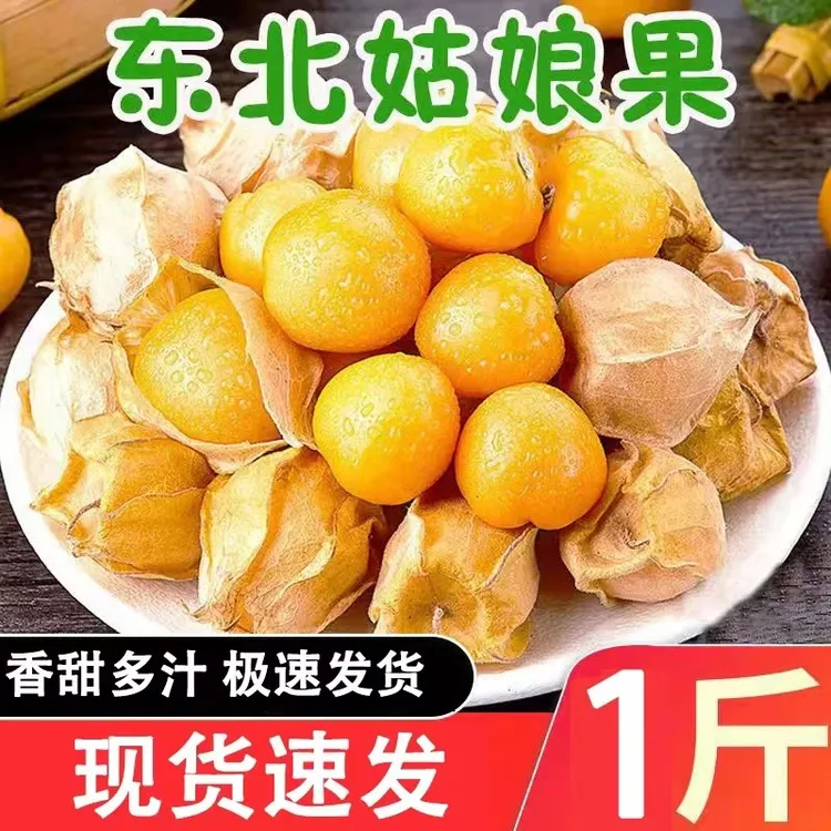 东北姑娘果黄金豆新鲜应当季黄菇娘大灯笼果洋菇凉果顺丰水果包邮