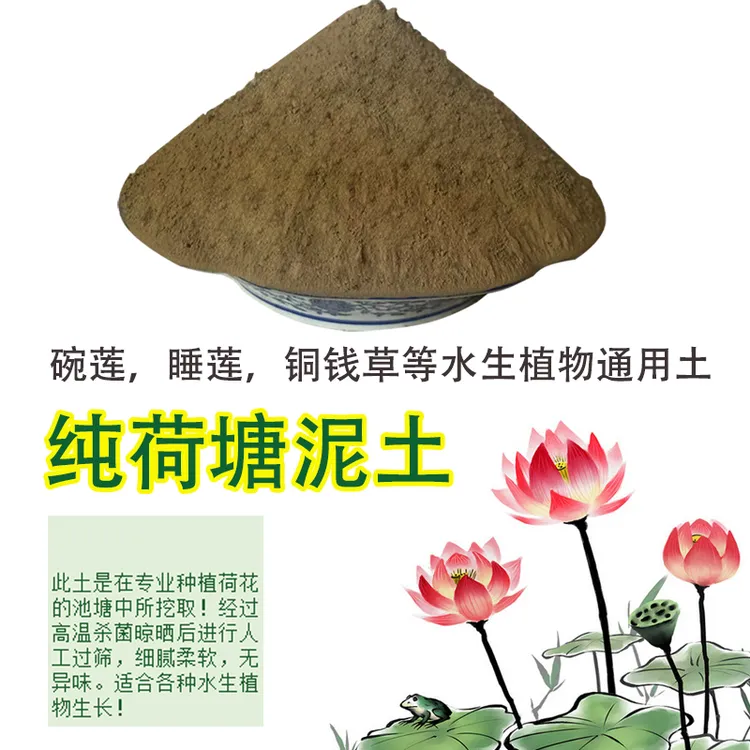 天然河塘泥荷塘土淤泥碗莲睡莲铜钱草乌龟爬行土水生植物通用泥土