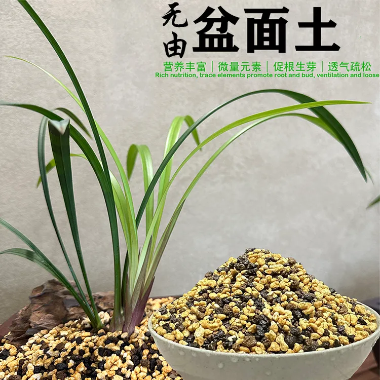 无由疏松盆面土高端绿植美观盖面土透气保湿