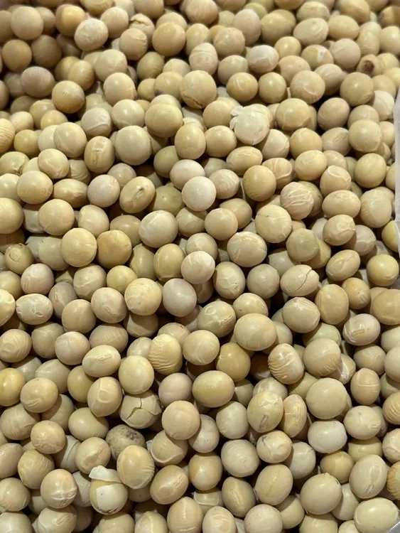 【蛟哥优品】高山农家绿豆 黄豆