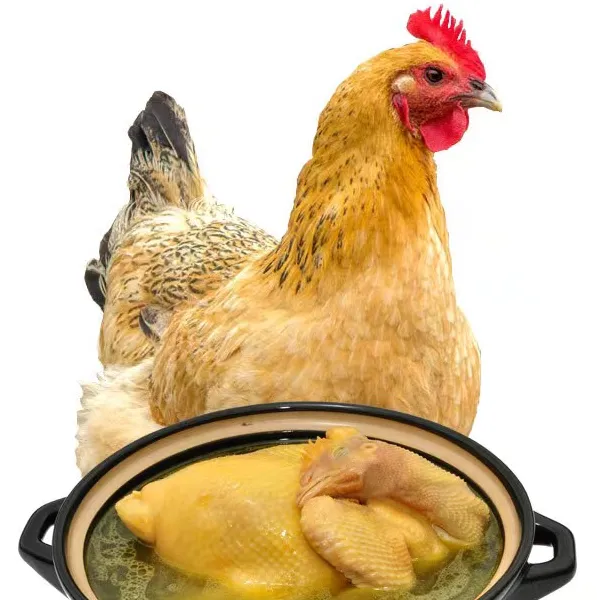 皖南散养土老母鸡2只 现杀品质好适合煲汤