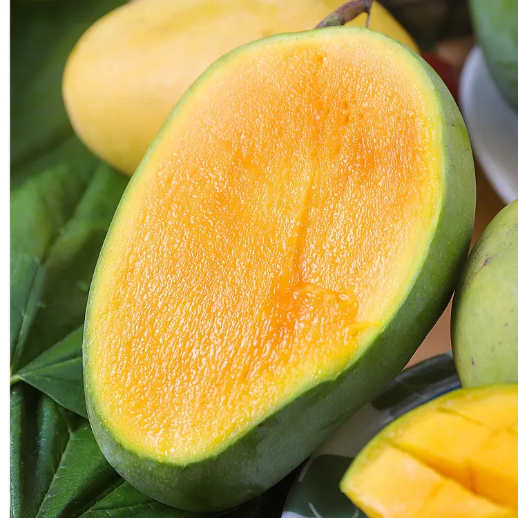 丽江高原多品种芒果鲜果香甜多汁