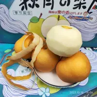 【老沙严选】源心当季新鲜莱阳秋月梨礼盒装 6 粒装净重 6斤以上