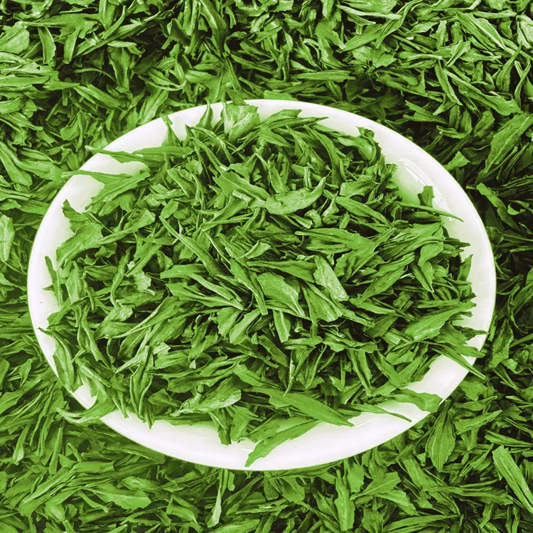 2025年新茶叶雀舌碎茶片明前贵州雀舌碎片绿茶散装早春嫩叶片250g